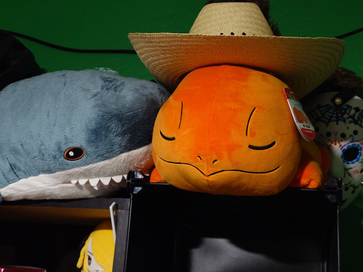 【Wicked】 tweet media