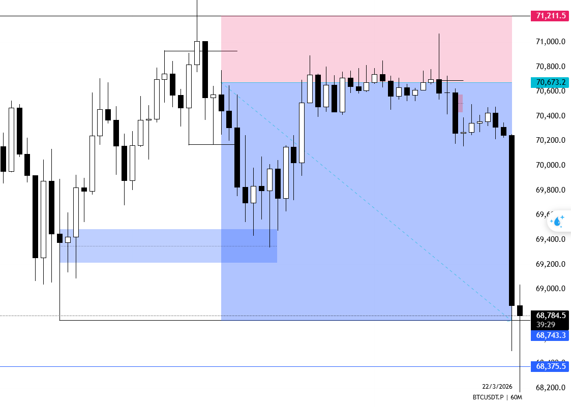 TNDK 🪴 tweet media