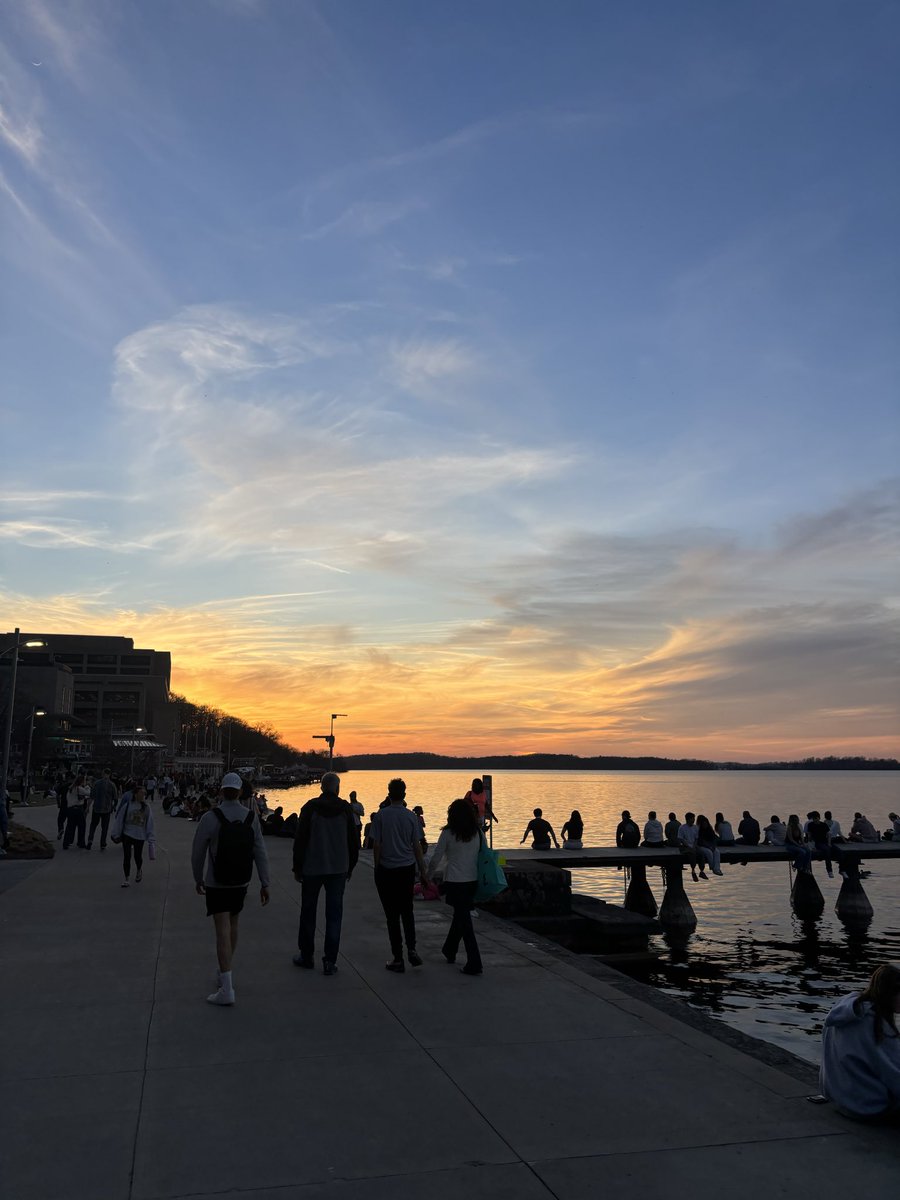 Matthew Shapiro tweet media