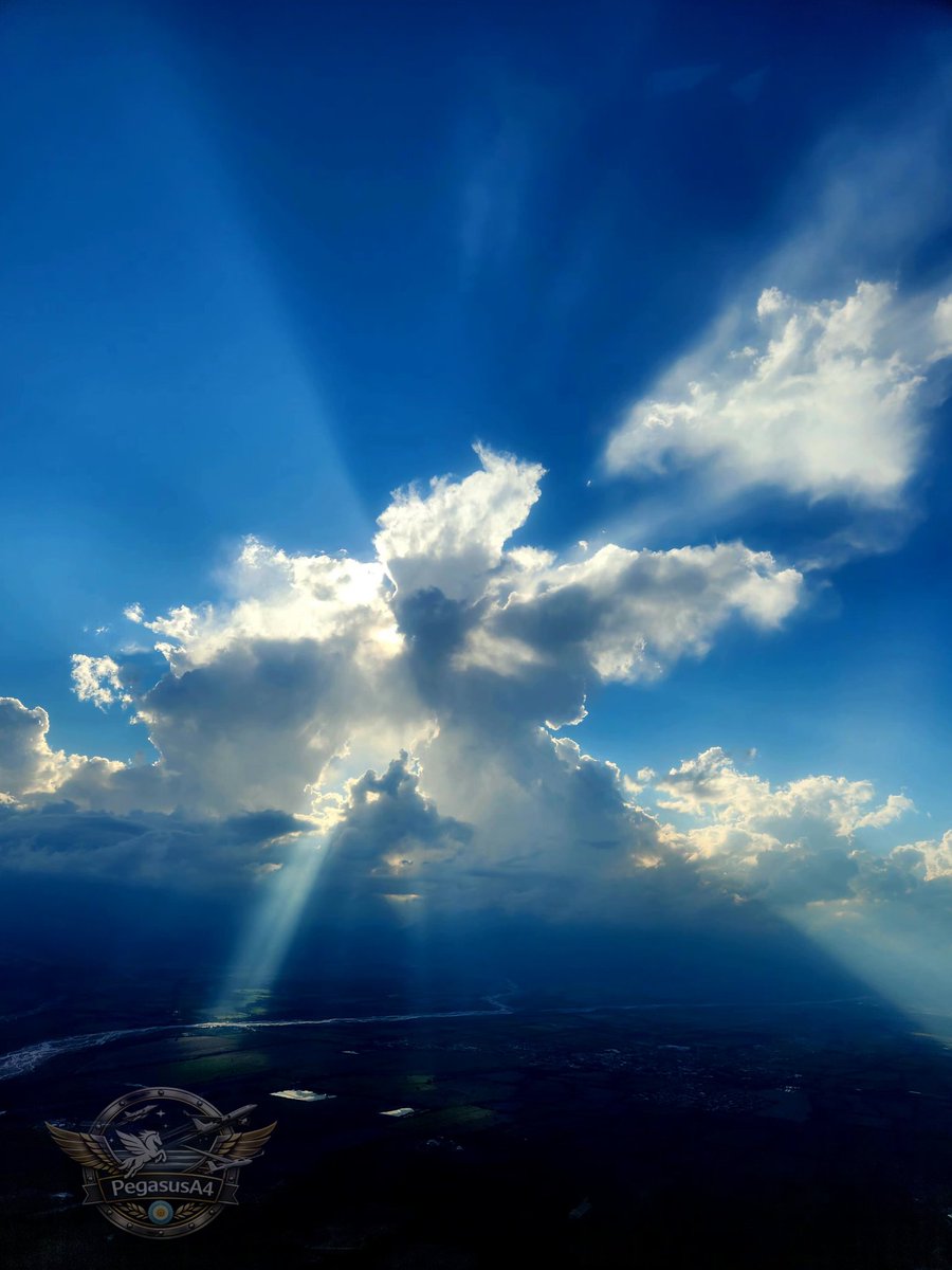 PegasusA4 tweet media