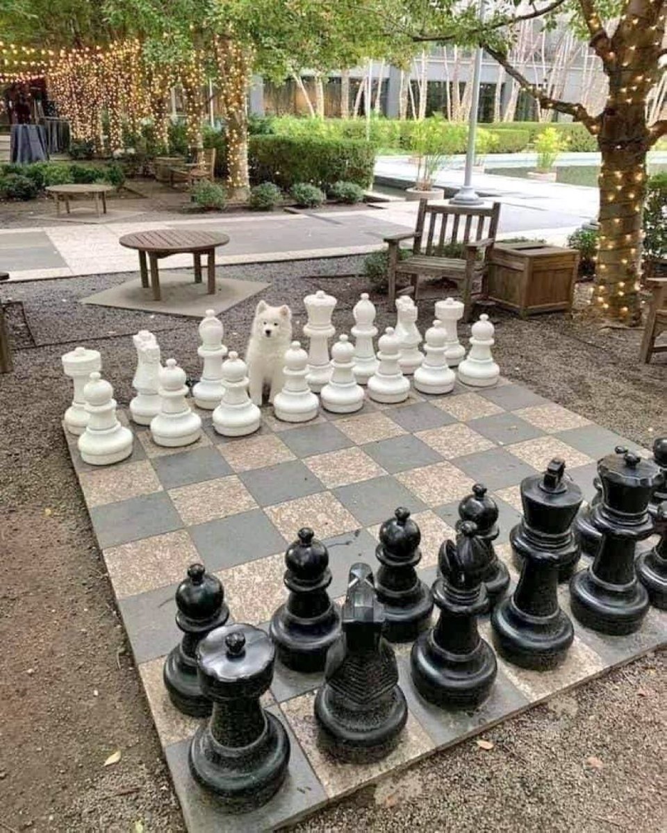 Paul Bronks tweet media