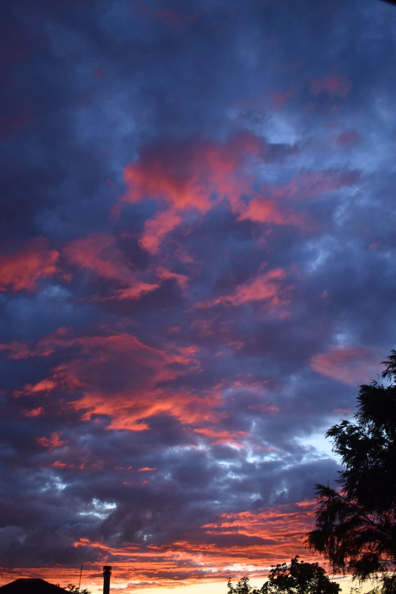 Elizabeth Barton tweet media