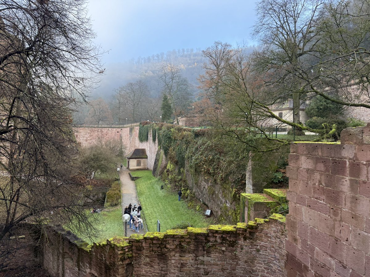 Priscilla Pilon tweet media