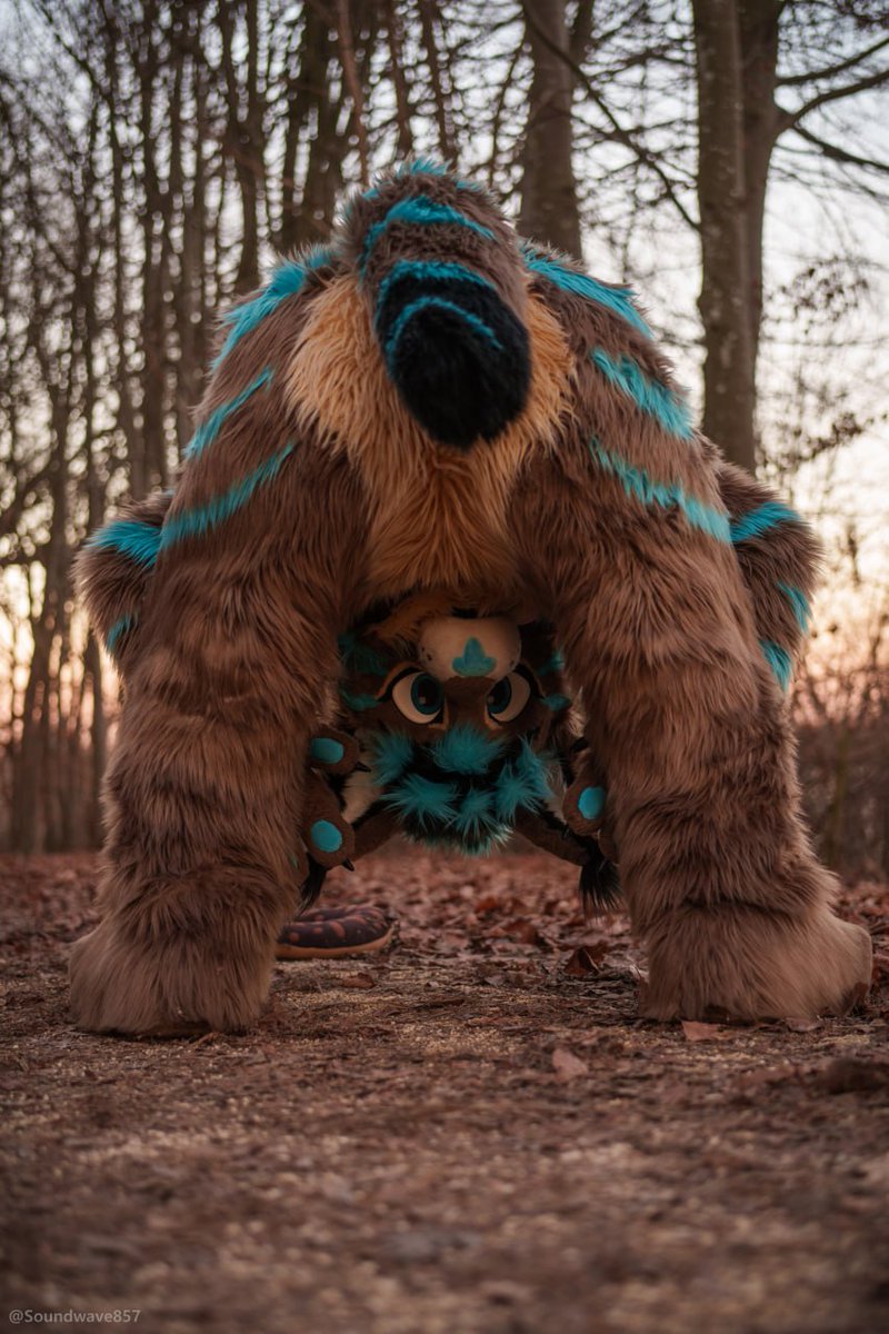 Laako 🇦🇹🔜 🇮🇹Furizon/🇦🇹AWO/🇫🇷FBL/🇩🇪EAST? tweet media