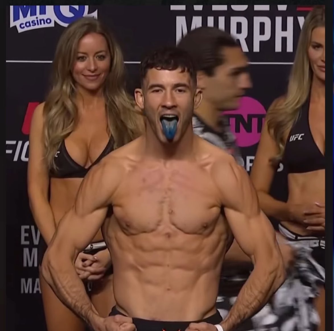 Meraki Blue Tongues tweet media