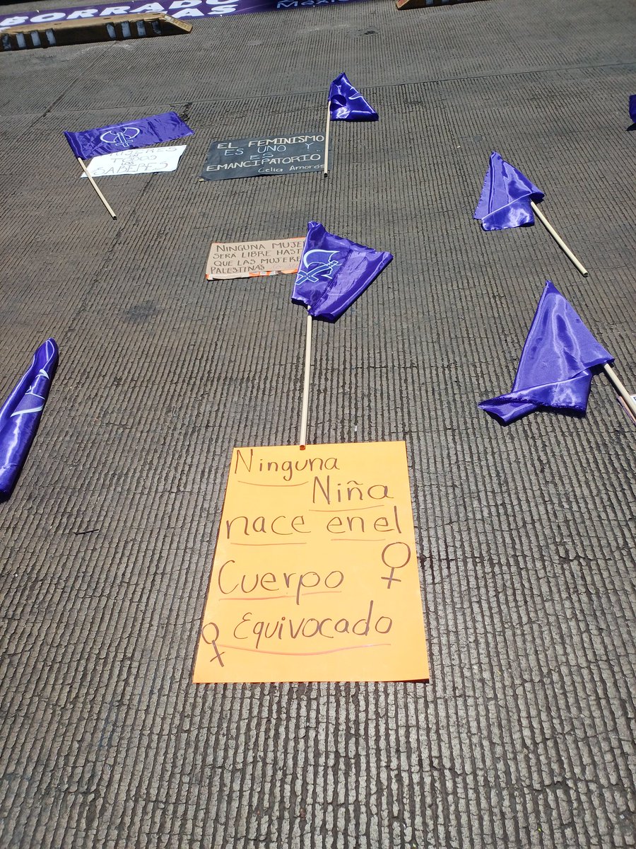 Señora que camina (@getsegar) on Twitter photo 