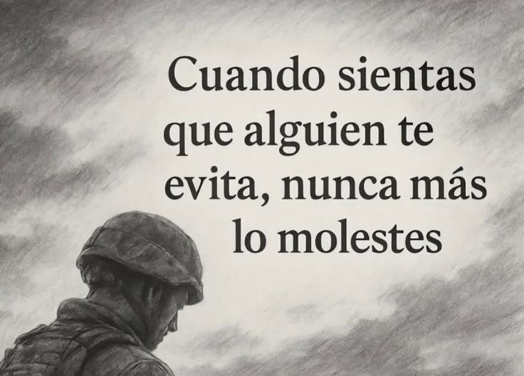 𝓛𝓸𝓷𝓮 🐺 𝓦𝓸𝓵𝓯 𝓐𝓵𝓹𝓱𝓪 ⚡ tweet media