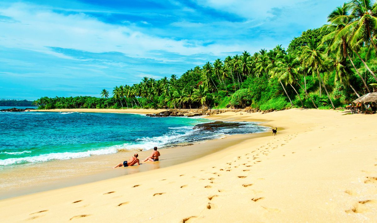 Invite Access tweet media