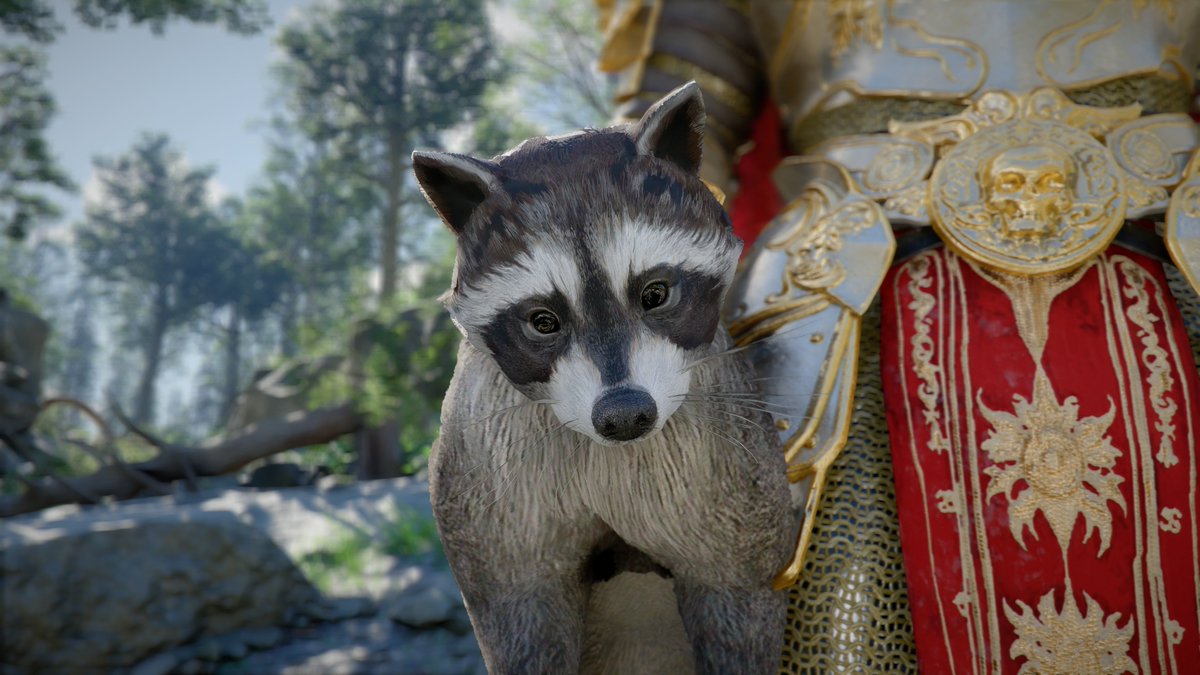 ピピ🐻 tweet media