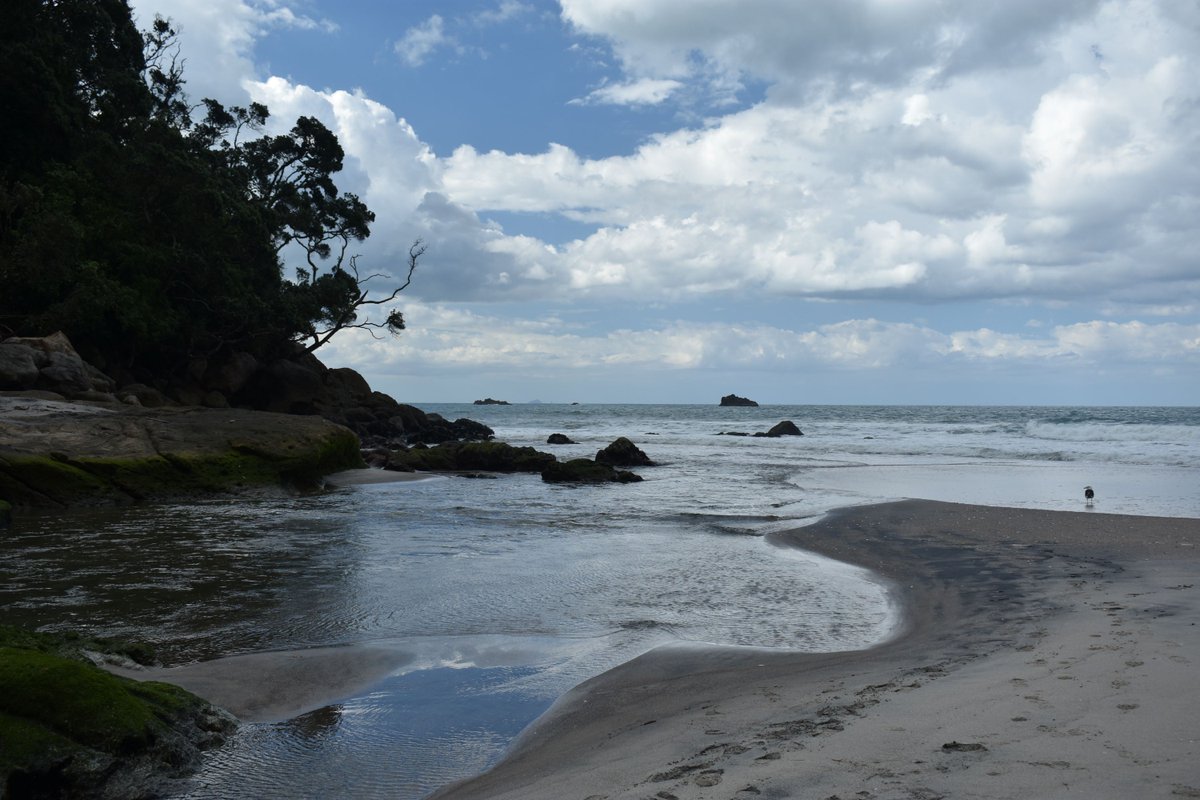 Elizabeth Barton tweet media