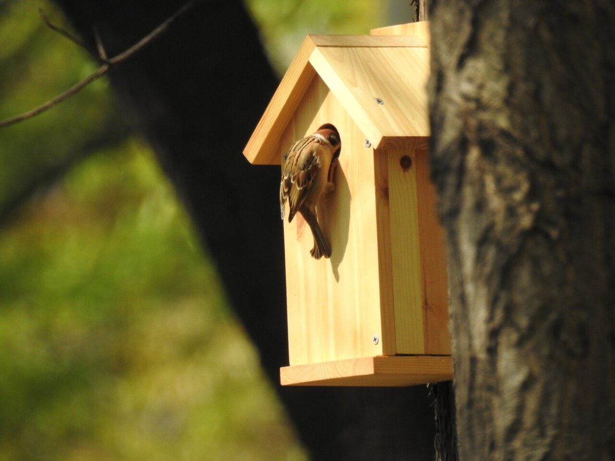 시사IN News Magazine tweet media