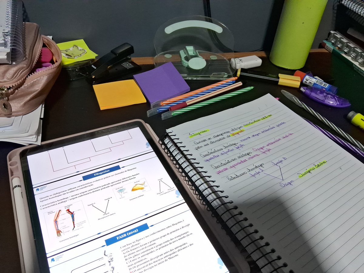 jordanna ♡ tweet media