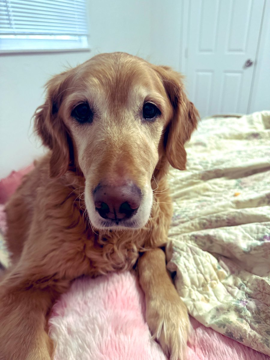 Ink🌊🦑🍓 tweet media