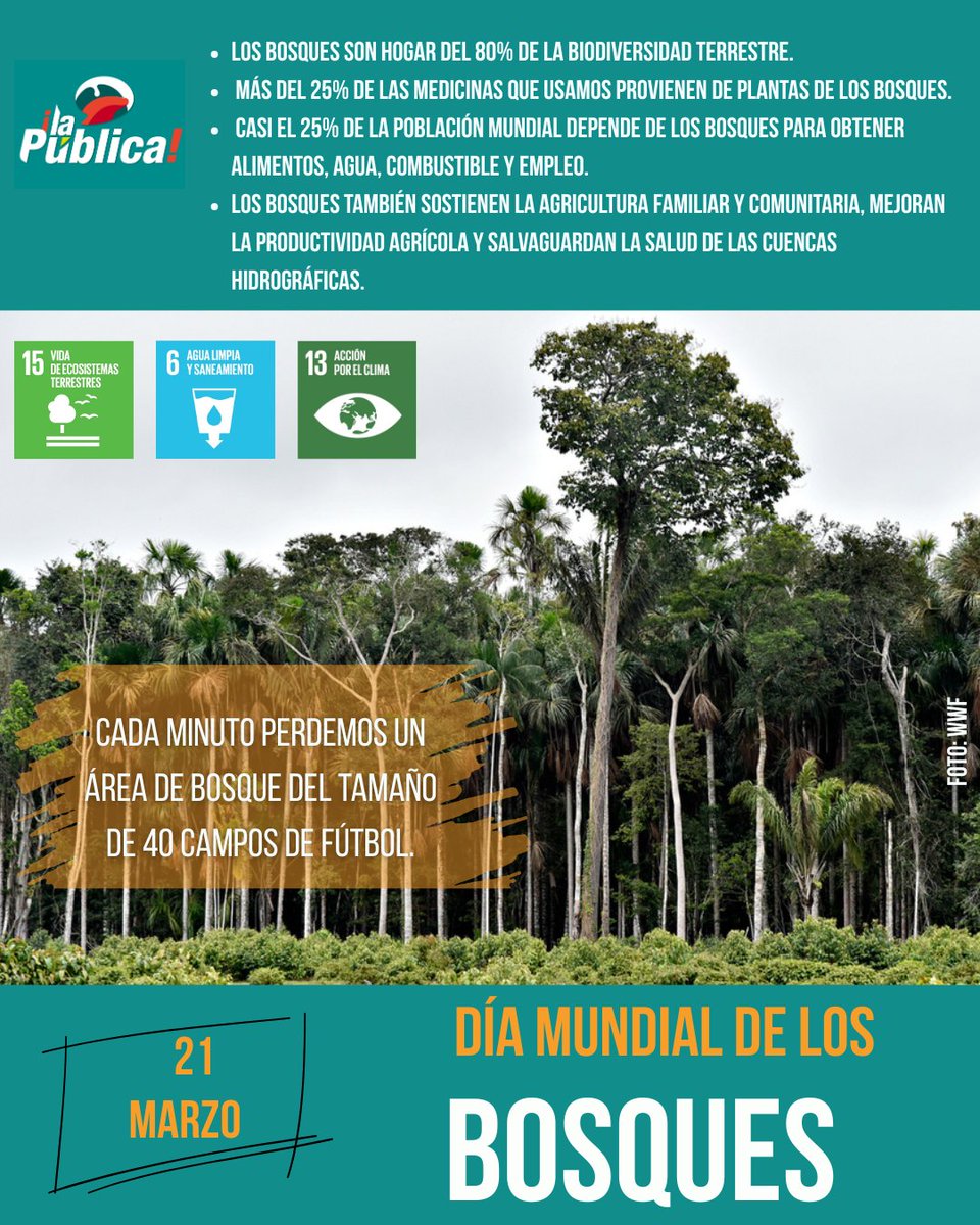 La Pública BO tweet media