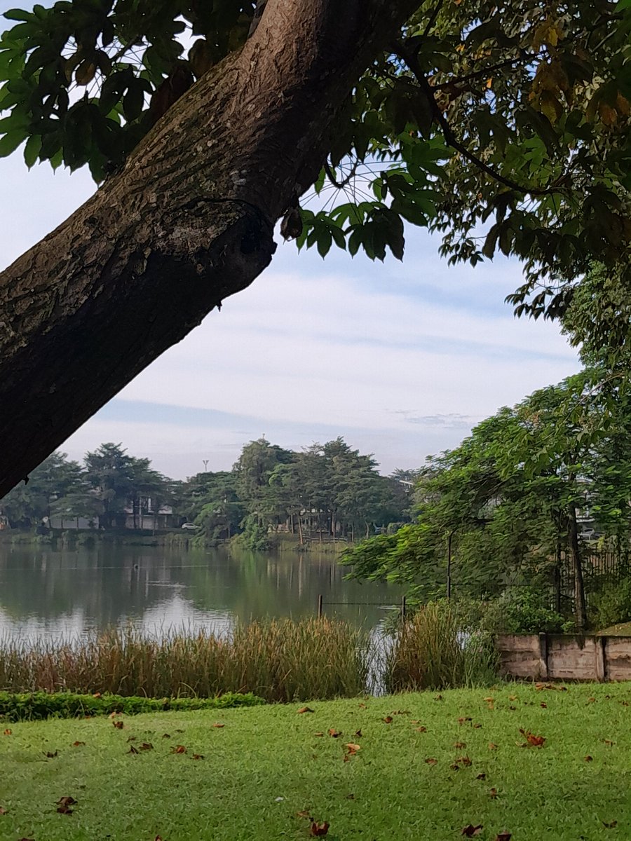 luna ✴︎ tweet media