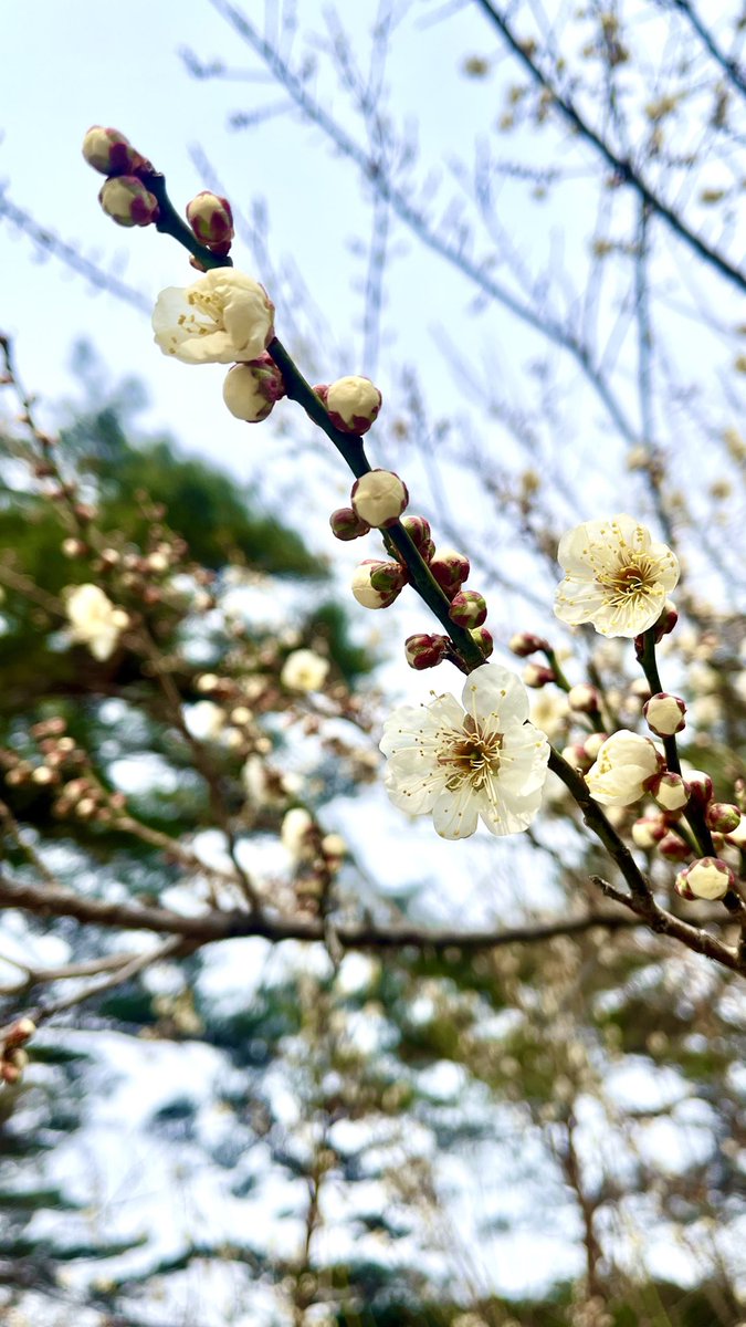 찌요 Zziyo🌦️🐭 tweet media