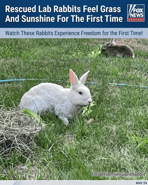 Ⲉⲭⲧꞅ0ⲣⲩ tweet media