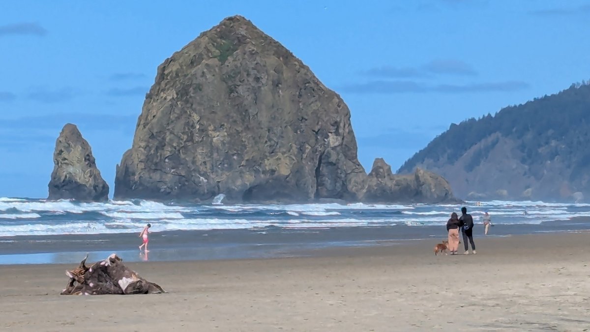 steve 🅁🅅🄽𓄿 tweet media