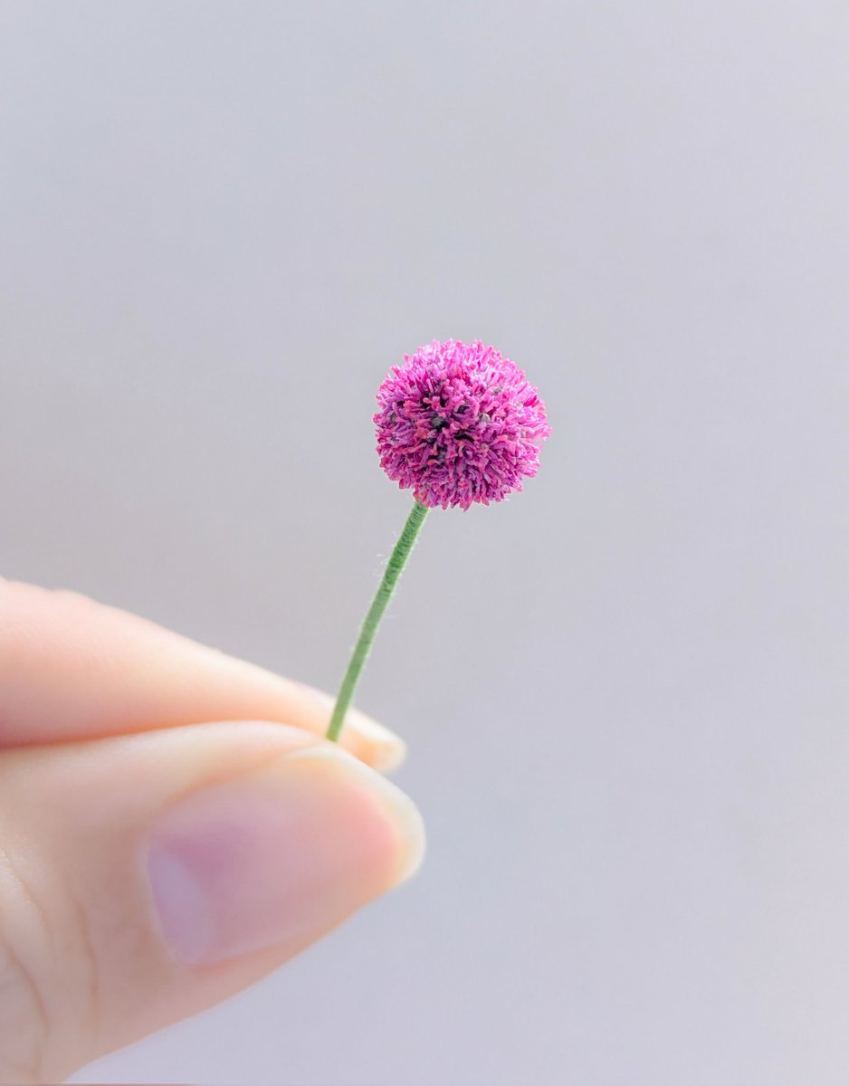 テテシゴト・ミニチュア刺繍糸作家 tweet media