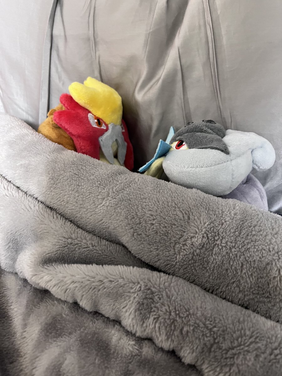 アチャもと tweet media