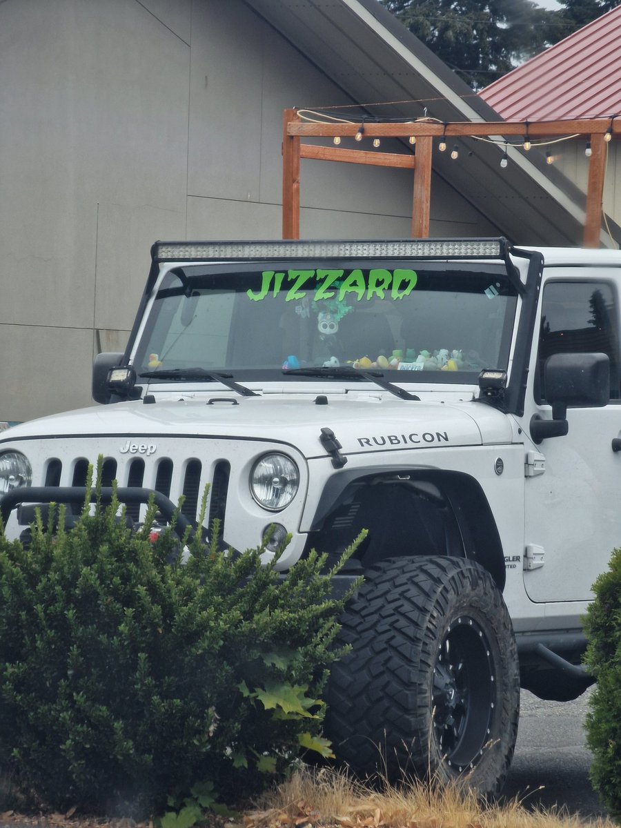 Bright Sphynx🔞 tweet media