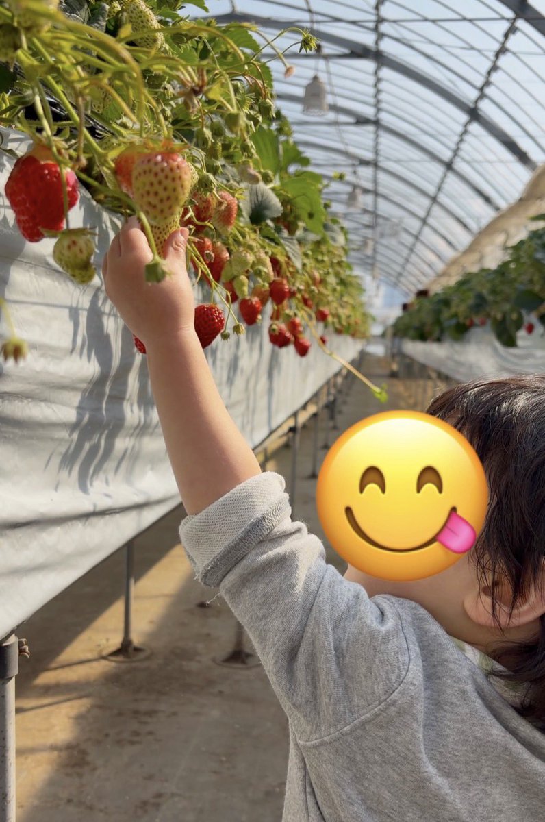 真崎 莞輔【RMU】/まさき かんすけ/Kansuke Masaki tweet media