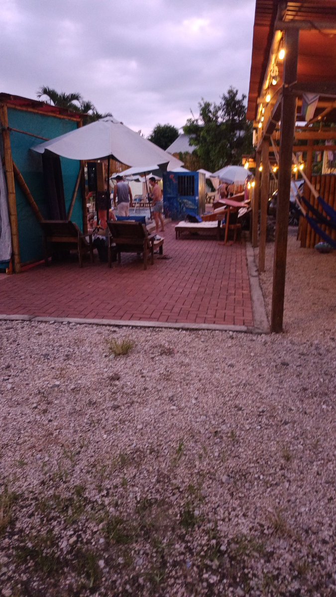 ACTIVOGYEE tweet media