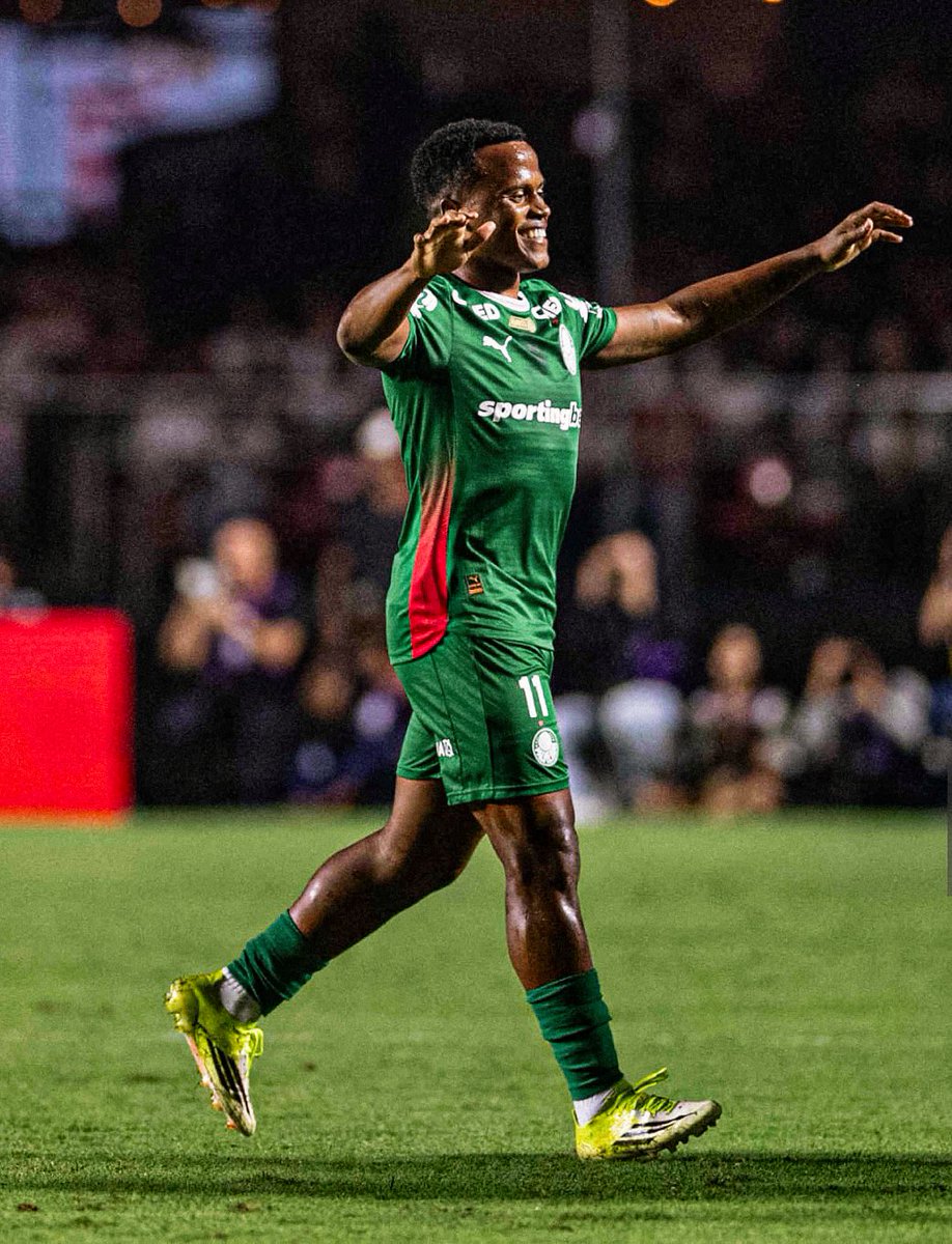 picmeiras tweet media