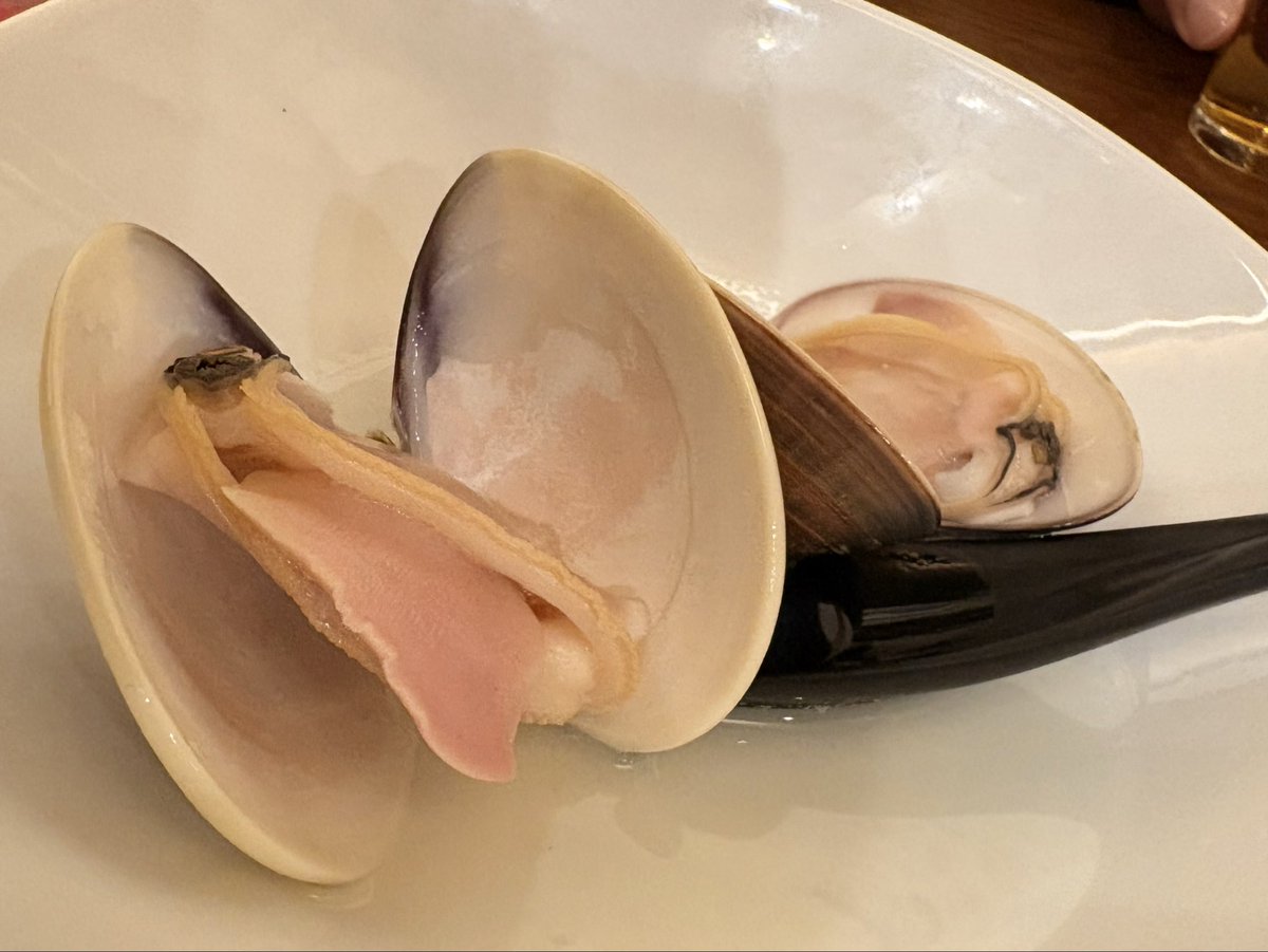 STAYG(ステイジー)/Vocal Group tweet media