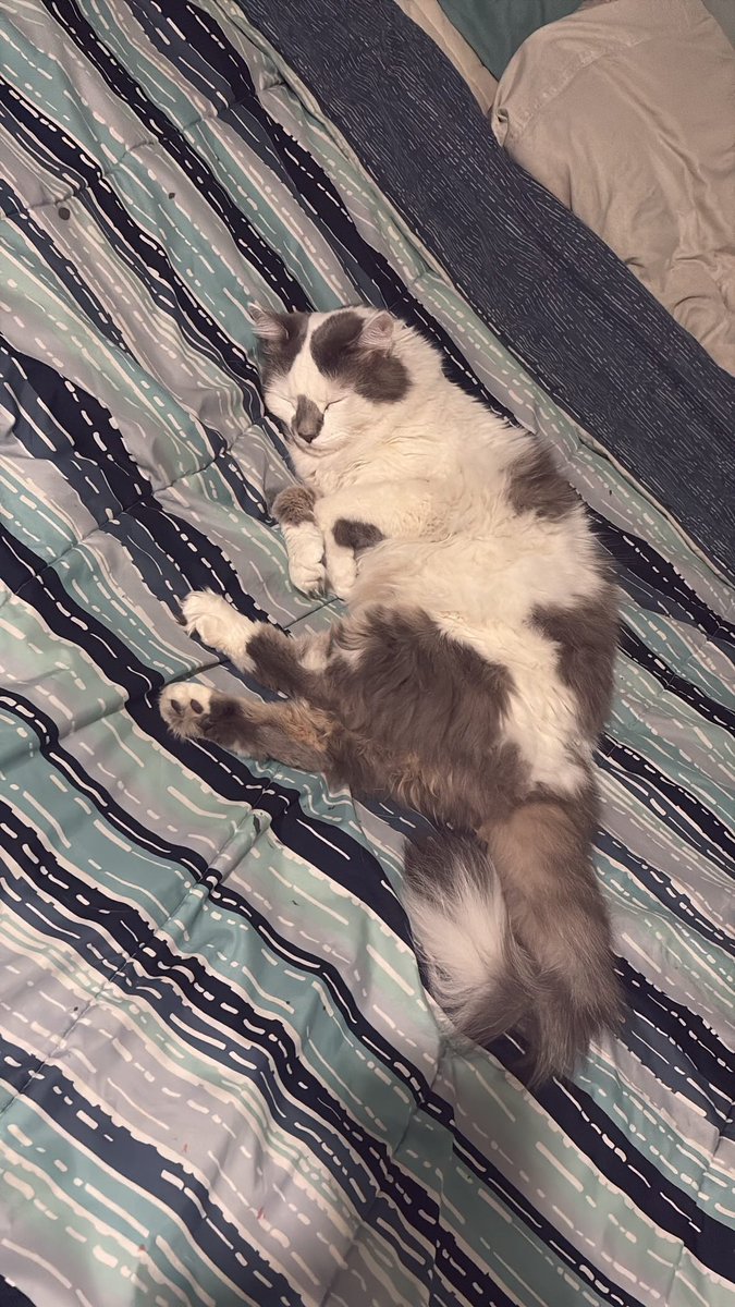 Maxwell White tweet media