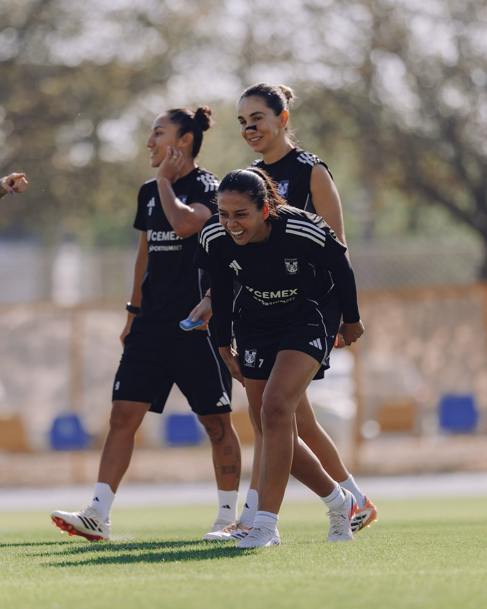 Club Tigres Femenil 🐯 tweet media