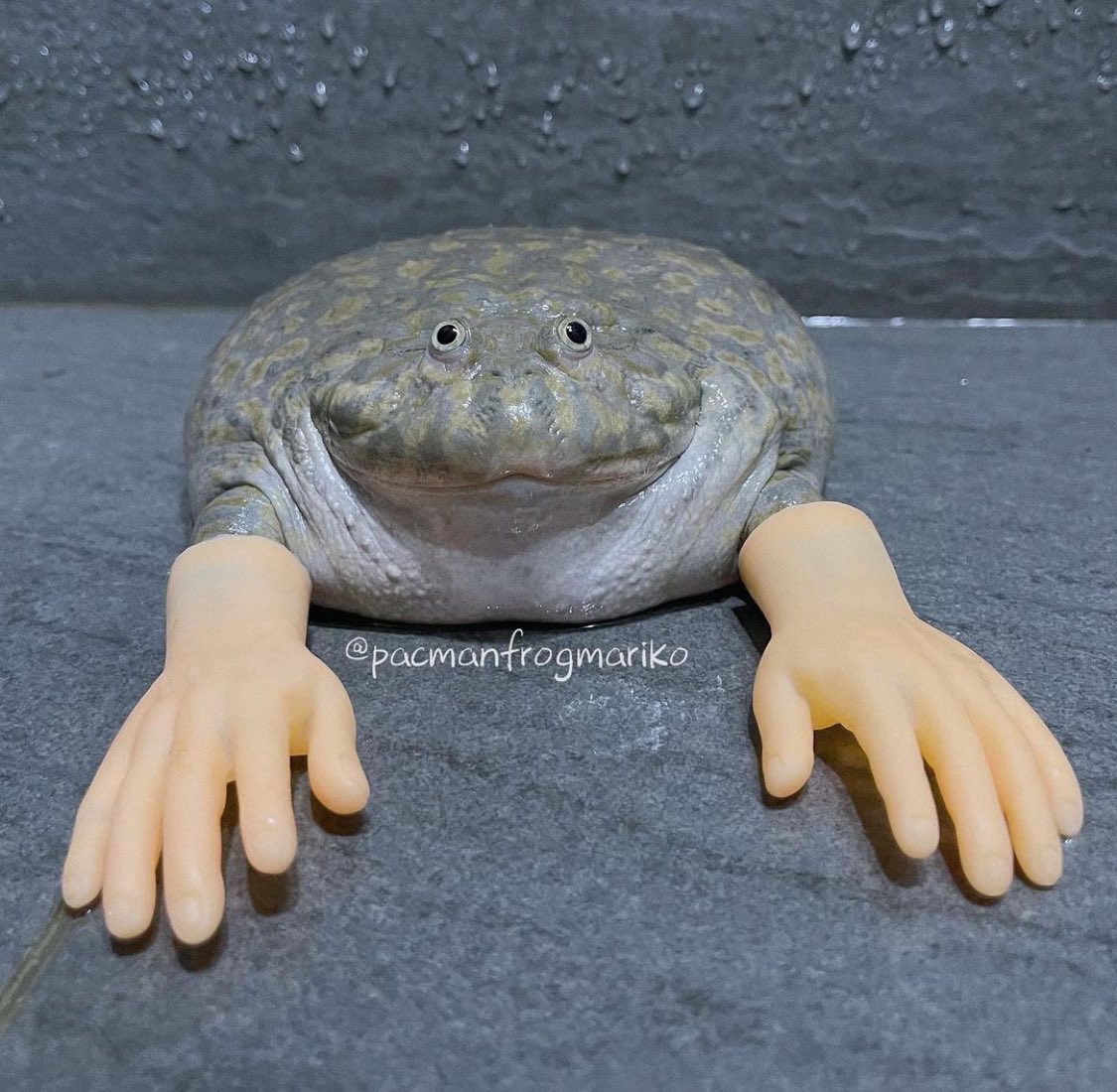 ☦️🇺🇲𒉭Nick Dickem𒉭🇺🇲☦️ tweet media