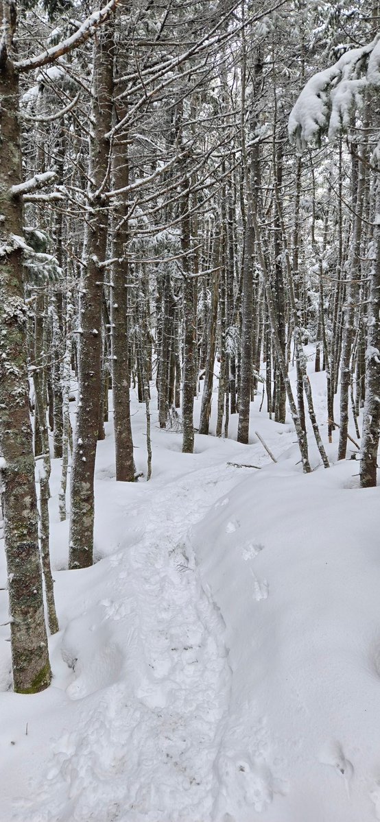 Sean Conway tweet media