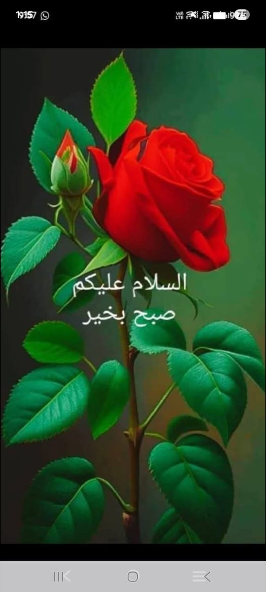 Furqan Jameel tweet media