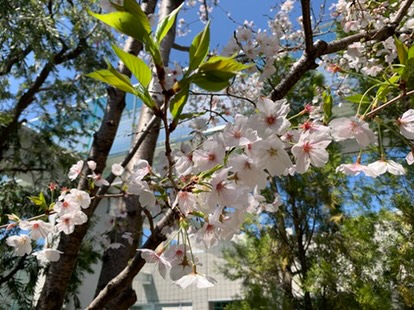 タイムズ スパ・レスタ tweet media