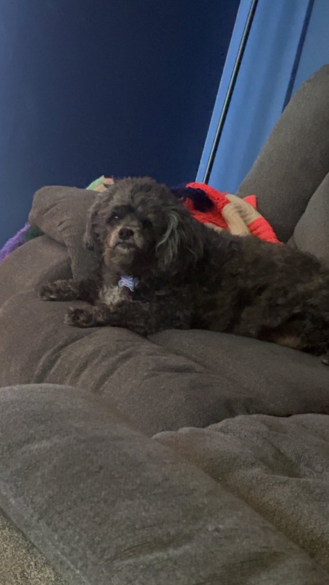 Zack 🐾🫶 tweet media