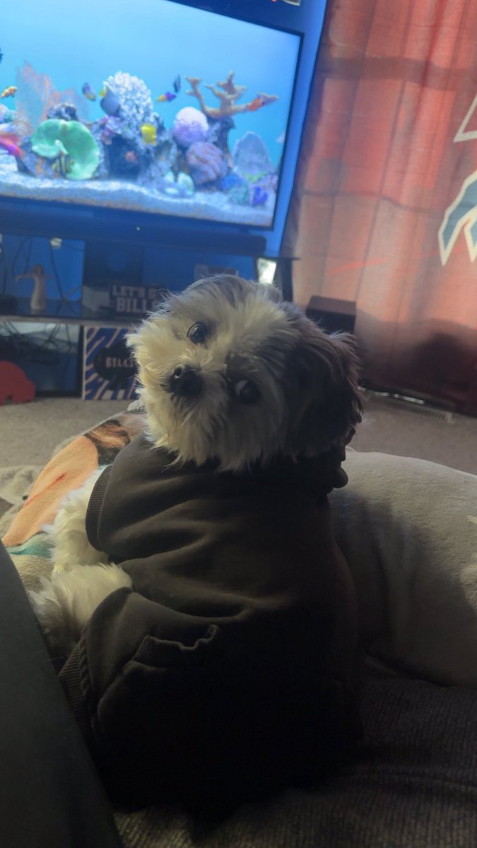 Zack 🐾🫶 tweet media