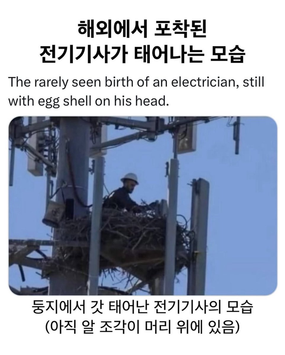 북크북크 tweet media