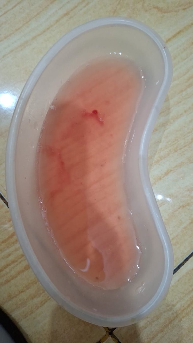 mayii ♡ URGENT COMMISSION APRIL tweet media