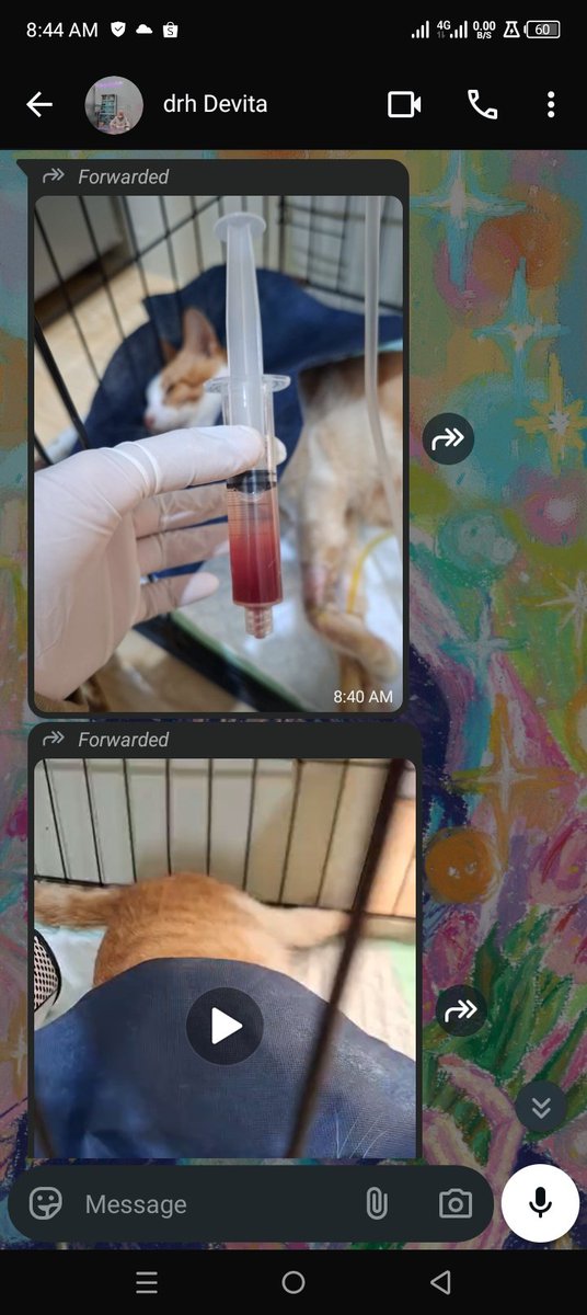 mayii ♡ URGENT COMMISSION APRIL tweet media