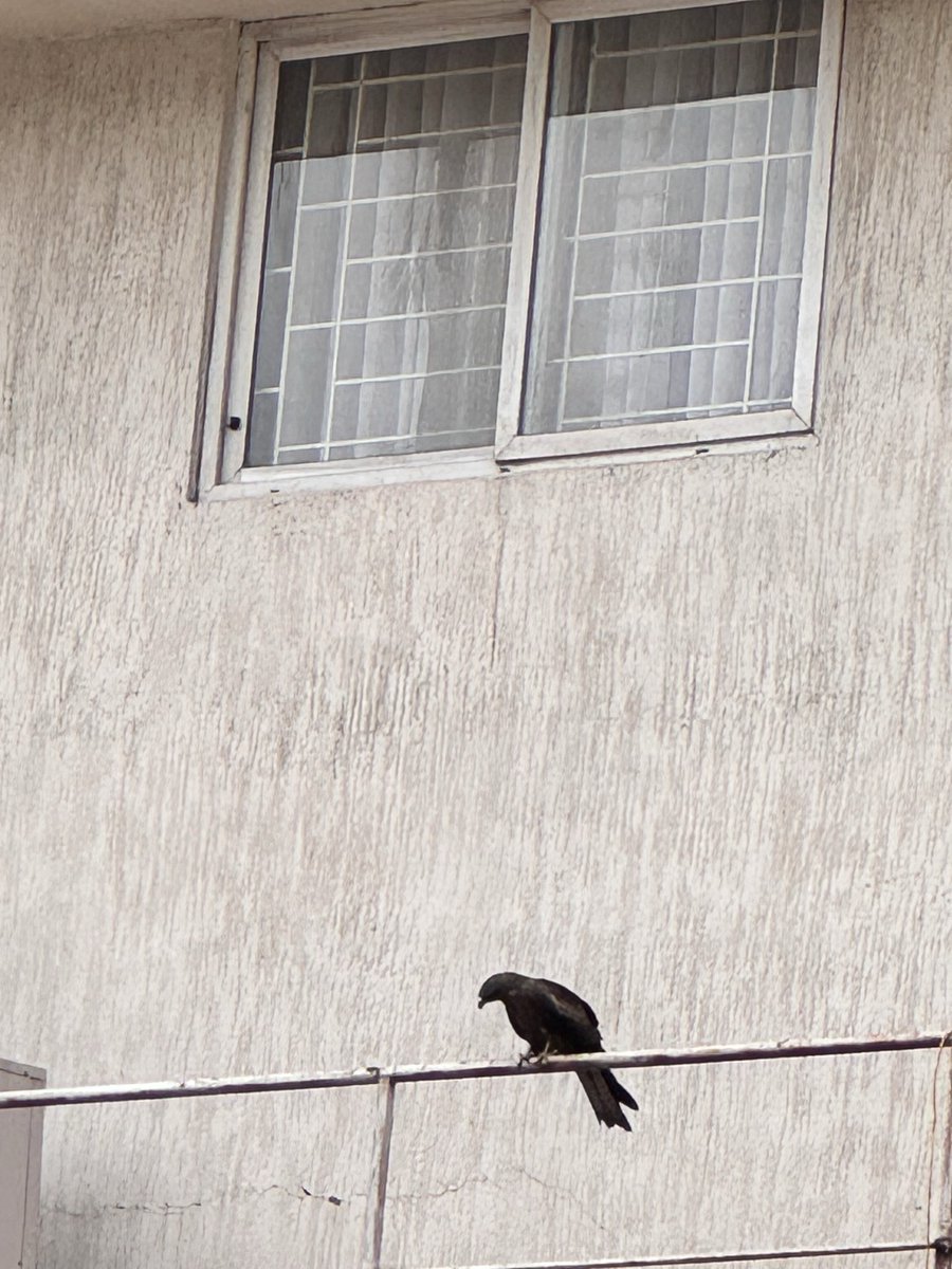 prasanna santhi tweet media