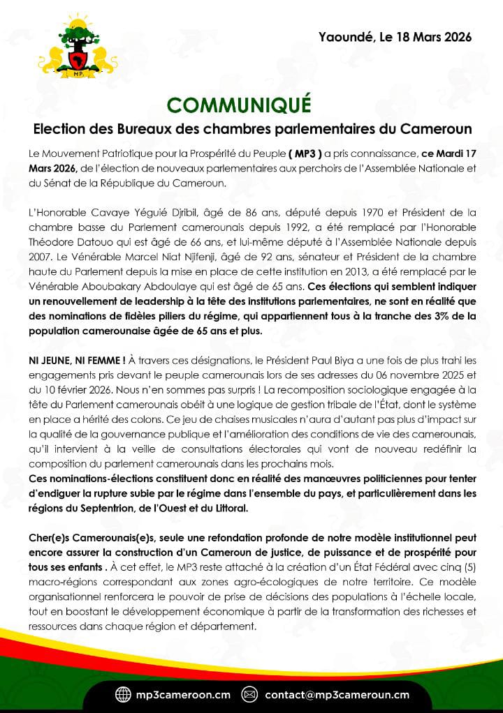 MP3 Cameroon tweet media