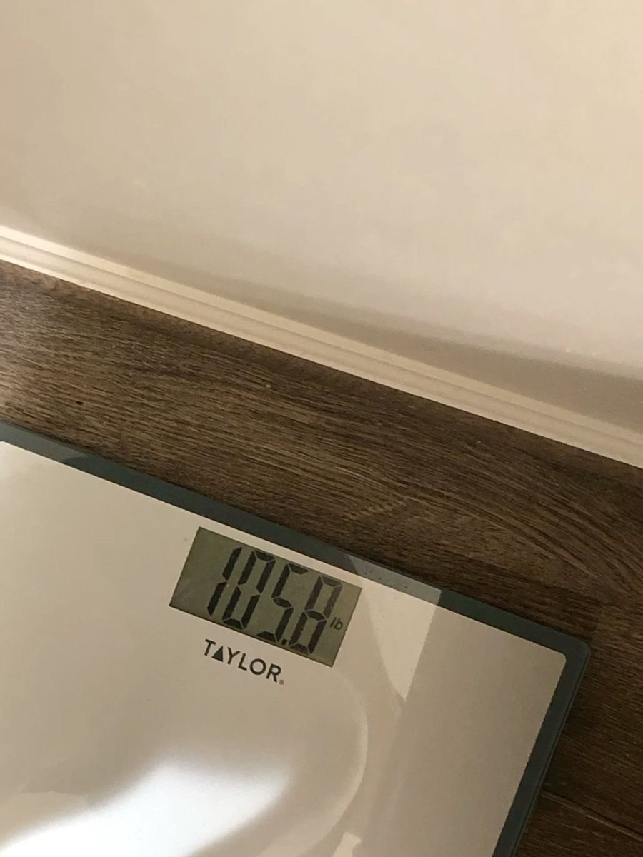 bell | edtwt tweet media