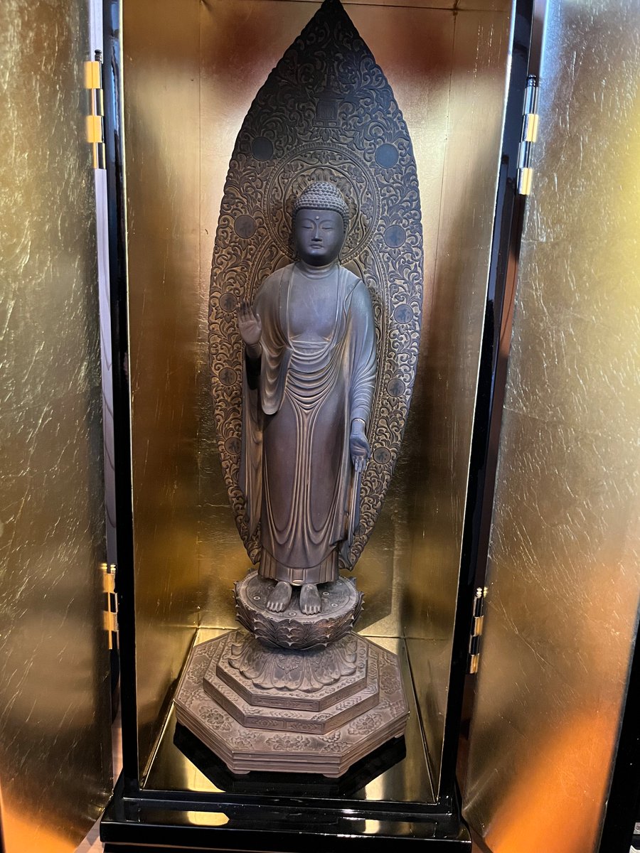 sedaielp昴 tweet media