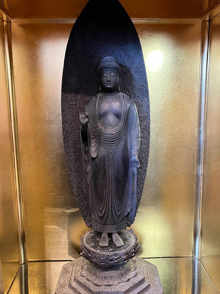 sedaielp昴 tweet media