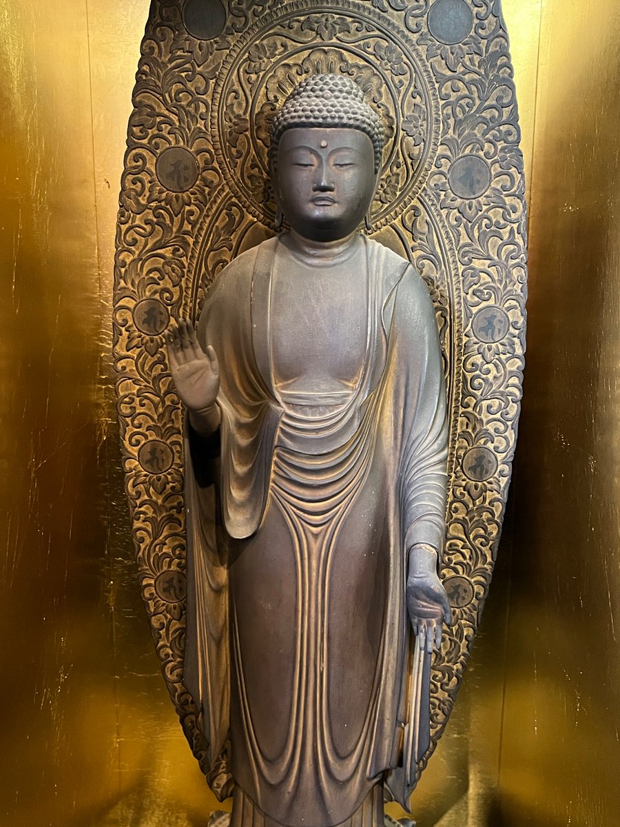 sedaielp昴 tweet media