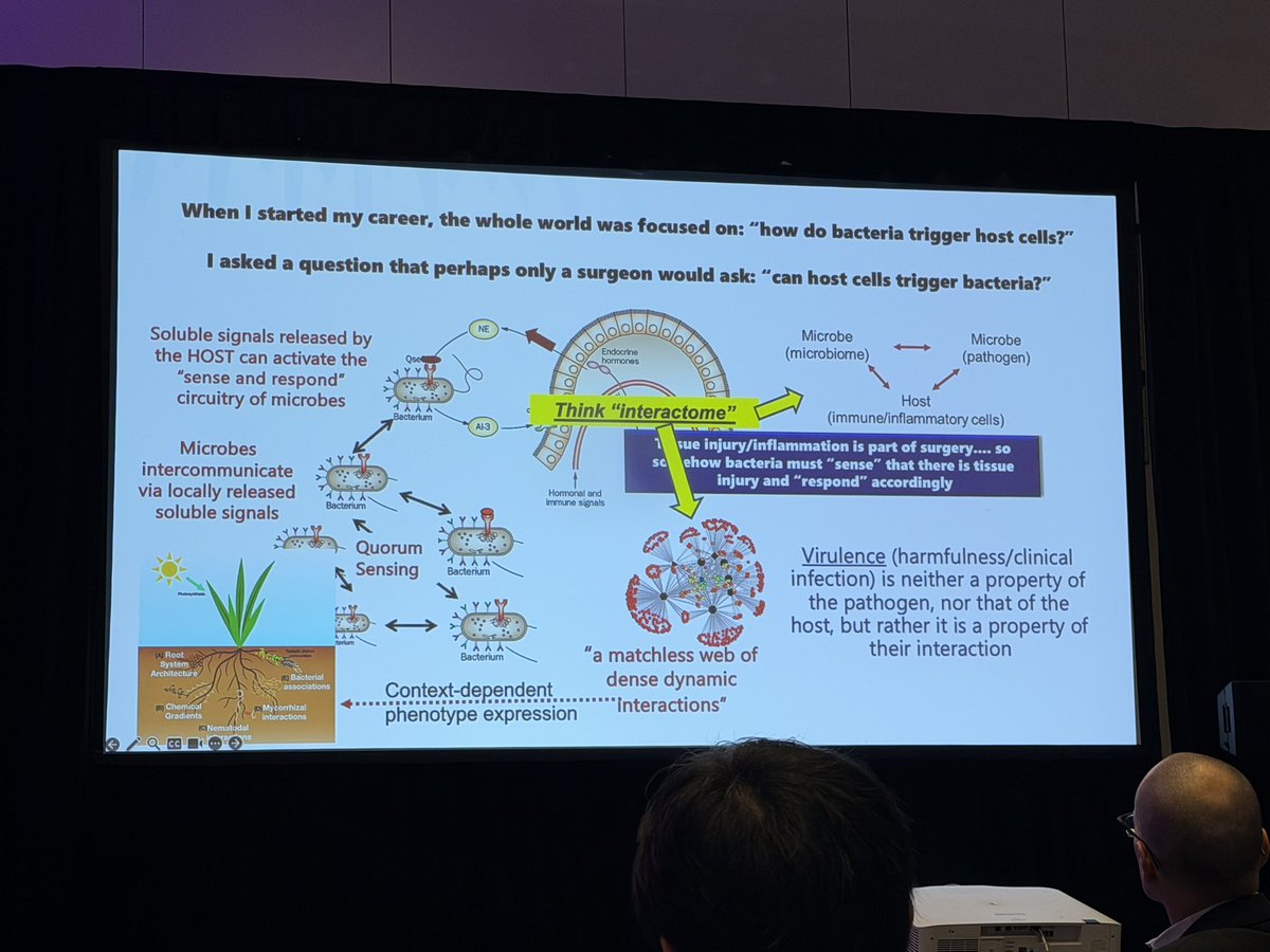 Flavio G Rocha, MD, FACS, FSSO tweet media
