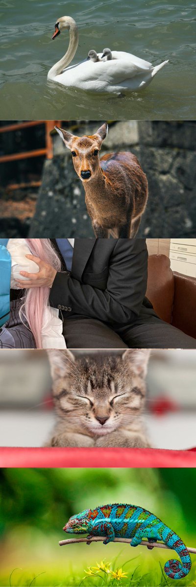 ららたん❕ tweet media