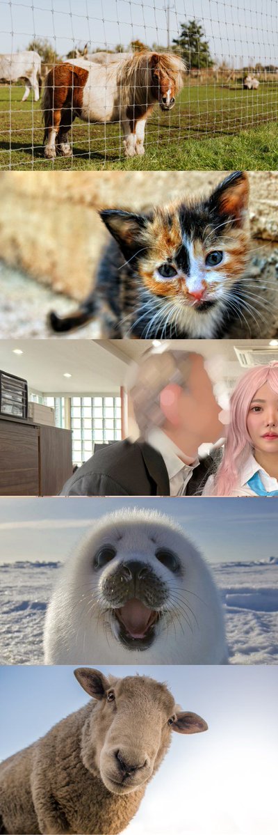 ららたん❕ tweet media