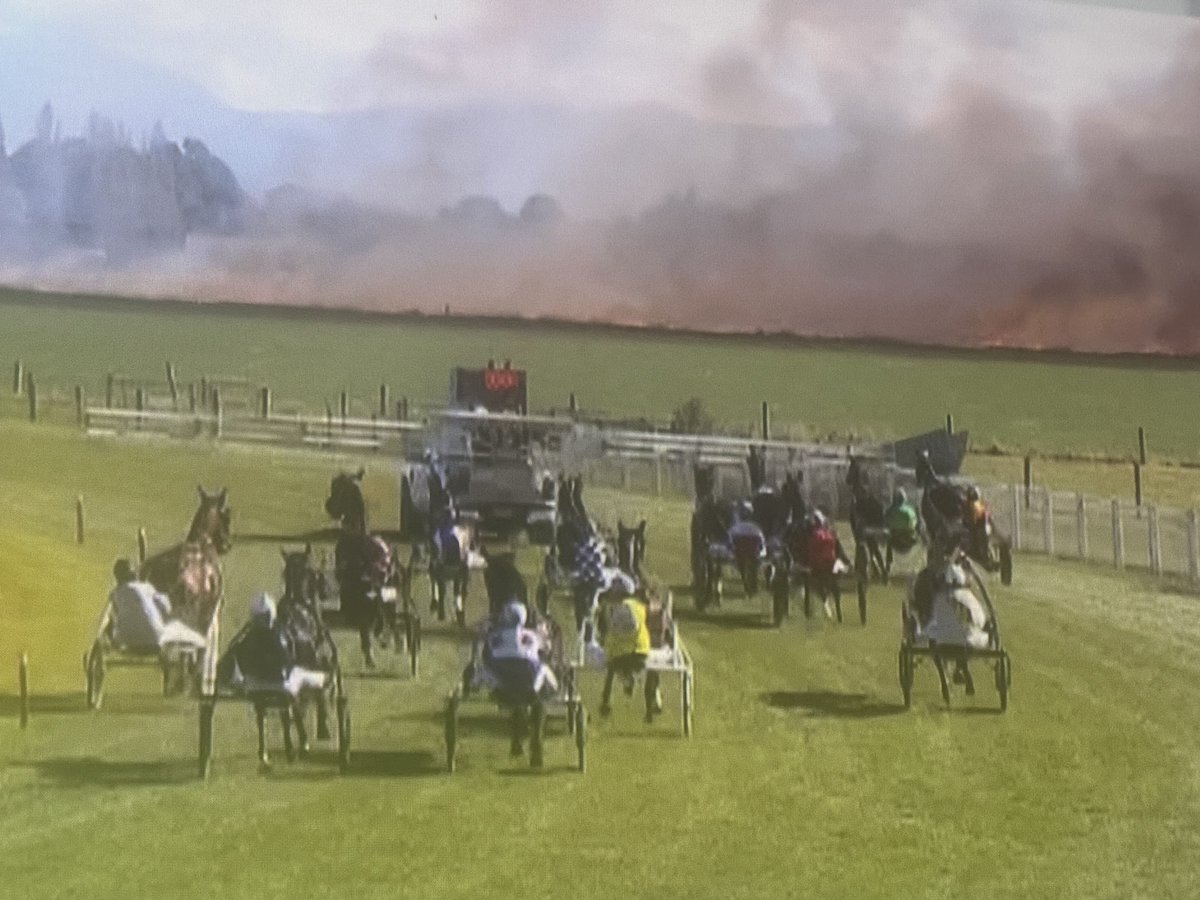 chaff and oats tweet media